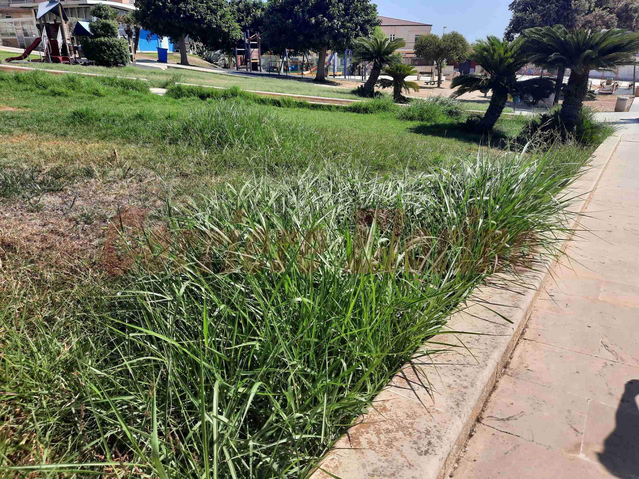 Città Verde: “Entro sabato sera sarà ripulito il verde del parco Giovanni Paolo II”