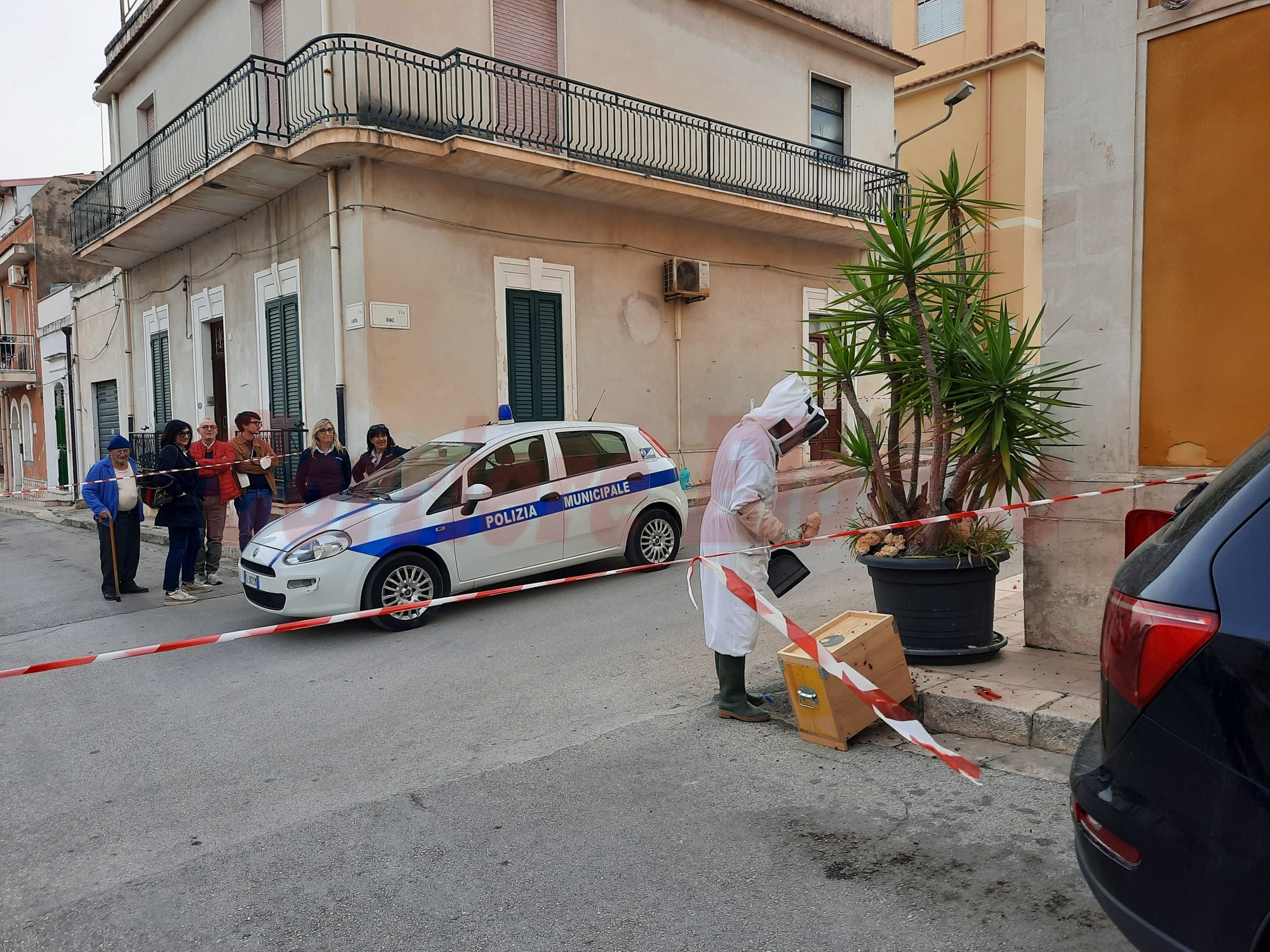 Sciame di 20.000 api in un vaso di via Canova, strada chiusa per diverse ore