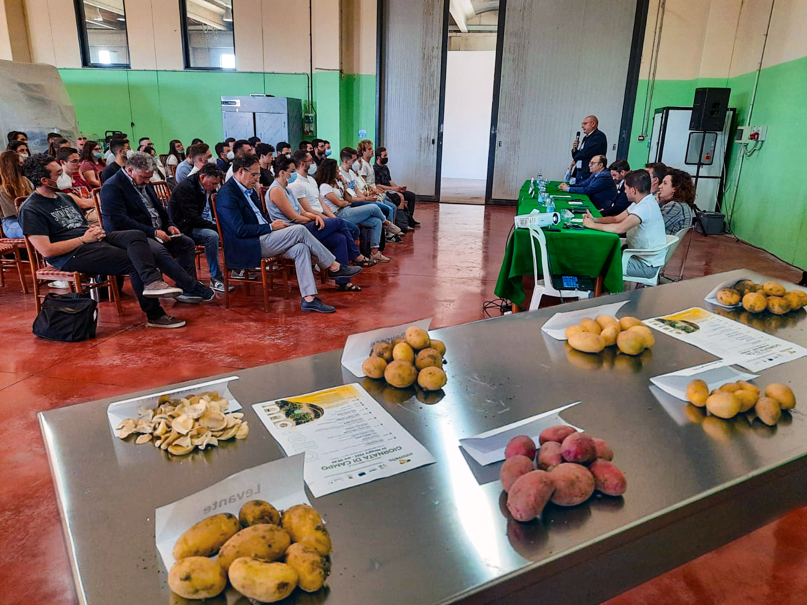 “Migliorare la patata novella di Siracusa”, alla Bioverde la prima giornata di campo del progetto “Innovella”