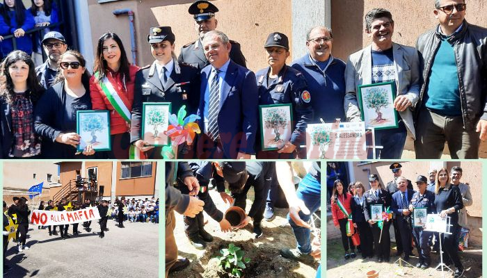 L’albero di Falcone mette radici anche all’Istituto S. Alessandra, un dono per la legalità e per l’ambiente