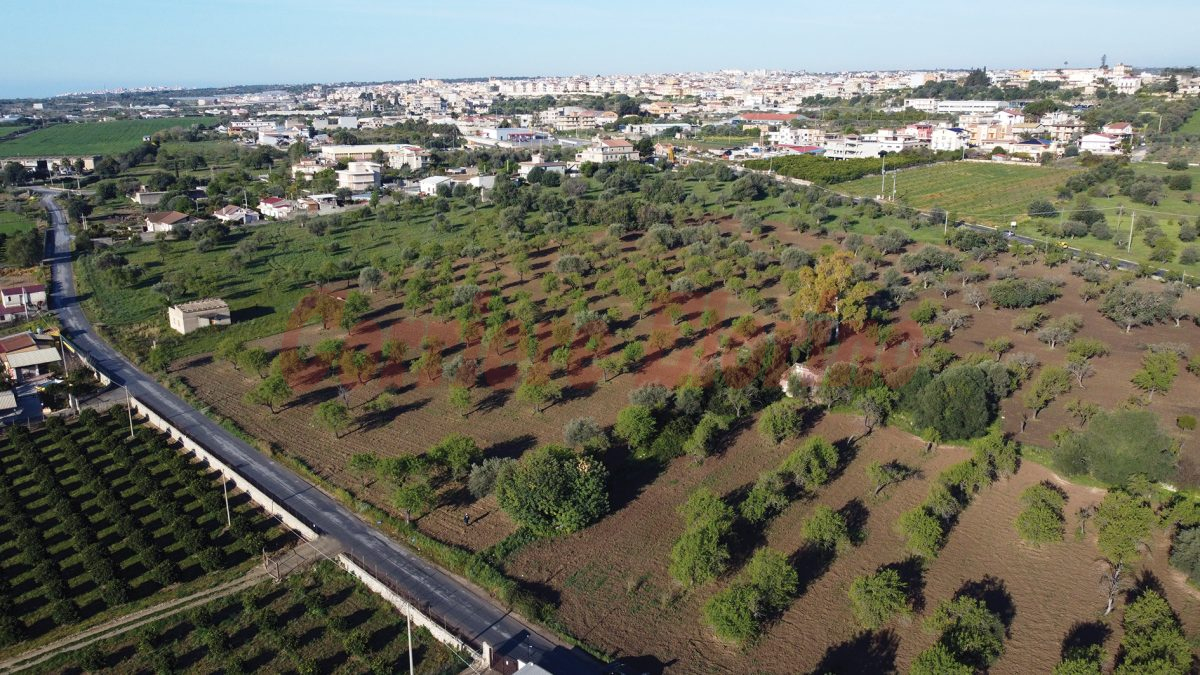 Domanda risarcitoria “tardiva”, no al maxi risarcimento danni per la mancata vendita dei terreni