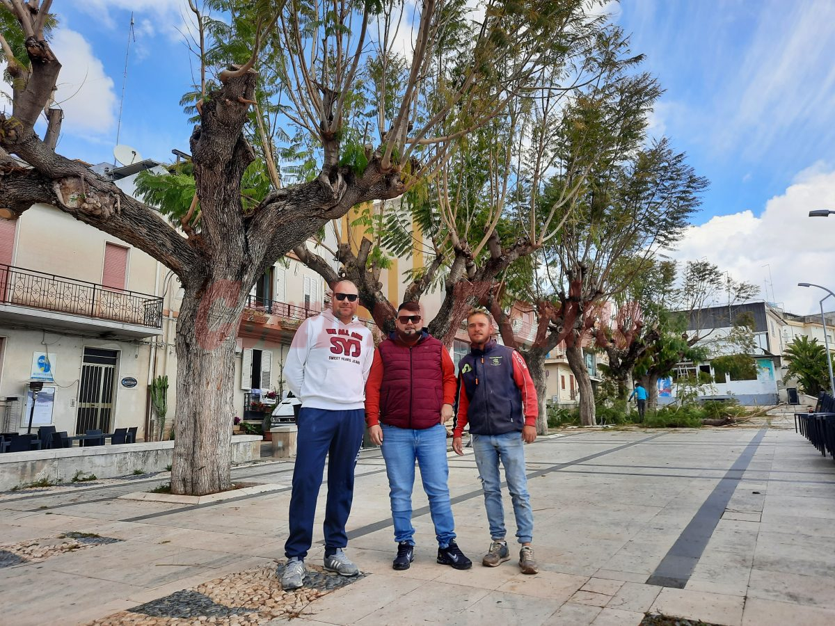 Una “sistemata” agli alberi della passeggiata comunale, l’iniziativa di due privati per la bella stagione