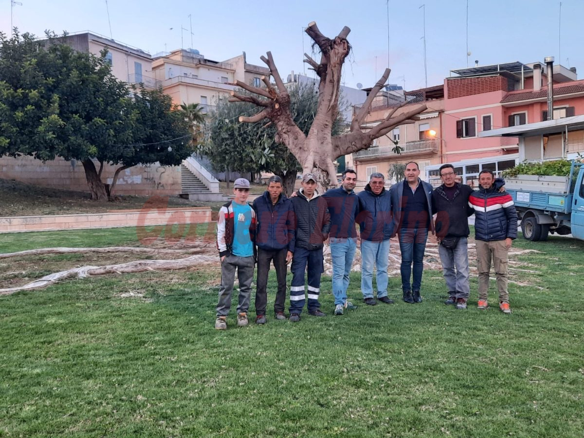 Parco ripulito e messo in sicurezza grazie al “Siliccu”, Cascino: “I tre motivi che mi hanno spinto a farlo”