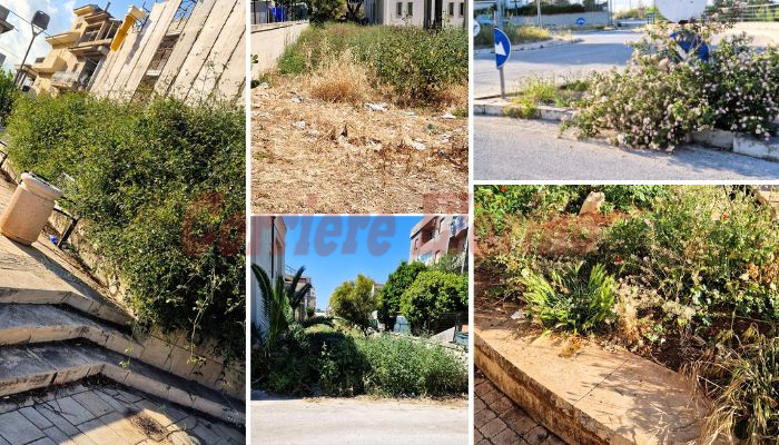 Mente e Cuore, la segnalazione: “L’ordinanza del sindaco per ripulire le aree dalle erbacce vale solo per i privati?”