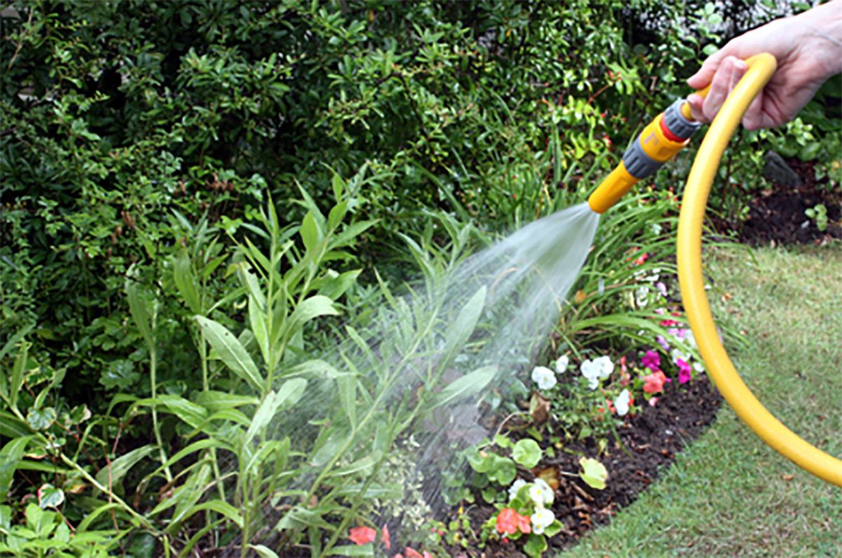 C’è chi innaffia i giardini, c’è chi rimane senza acqua, Azione: “Manca un serio controllo del territorio”