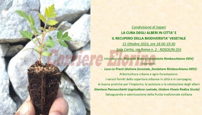 “Cura degli alberi in città e recupero della biodiversità”, sabato una conferenza in Sala Cartia