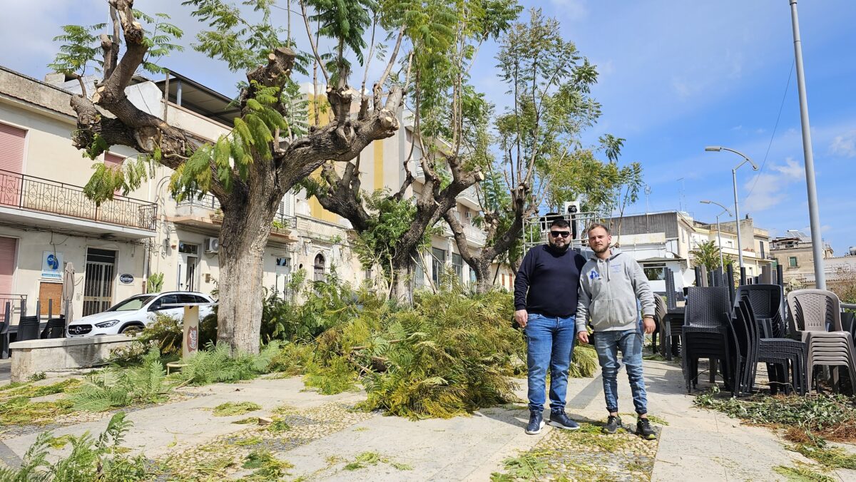 Potatura degli alberi, iniziativa de “Ammuccamu” alla passeggiata comunale di Corso Savoia