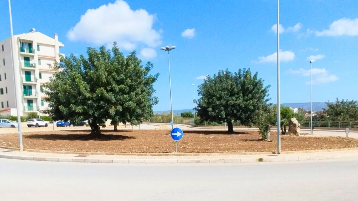 “Un modo per ricordare l’amico Vinny Dell’Ali”, Città Verde ripulisce la rotatoria davanti alla sua abitazione