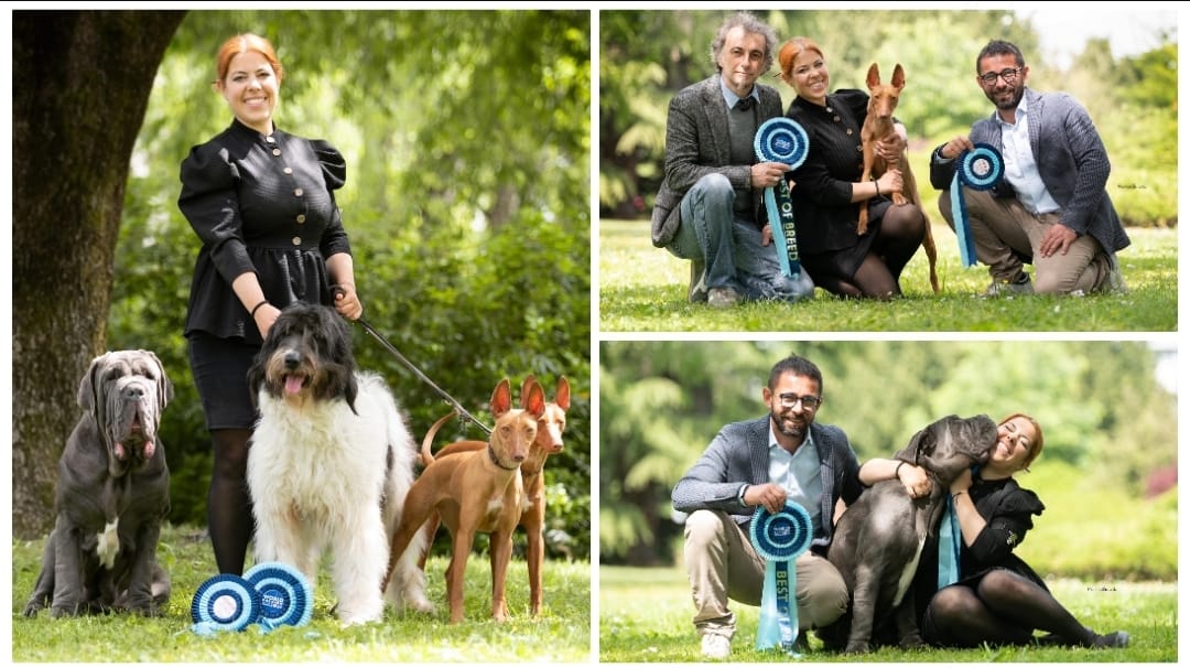 World Dog Show di Zagabria, ben cinque campioni del mondo per l’associazione Frida di Rosolini