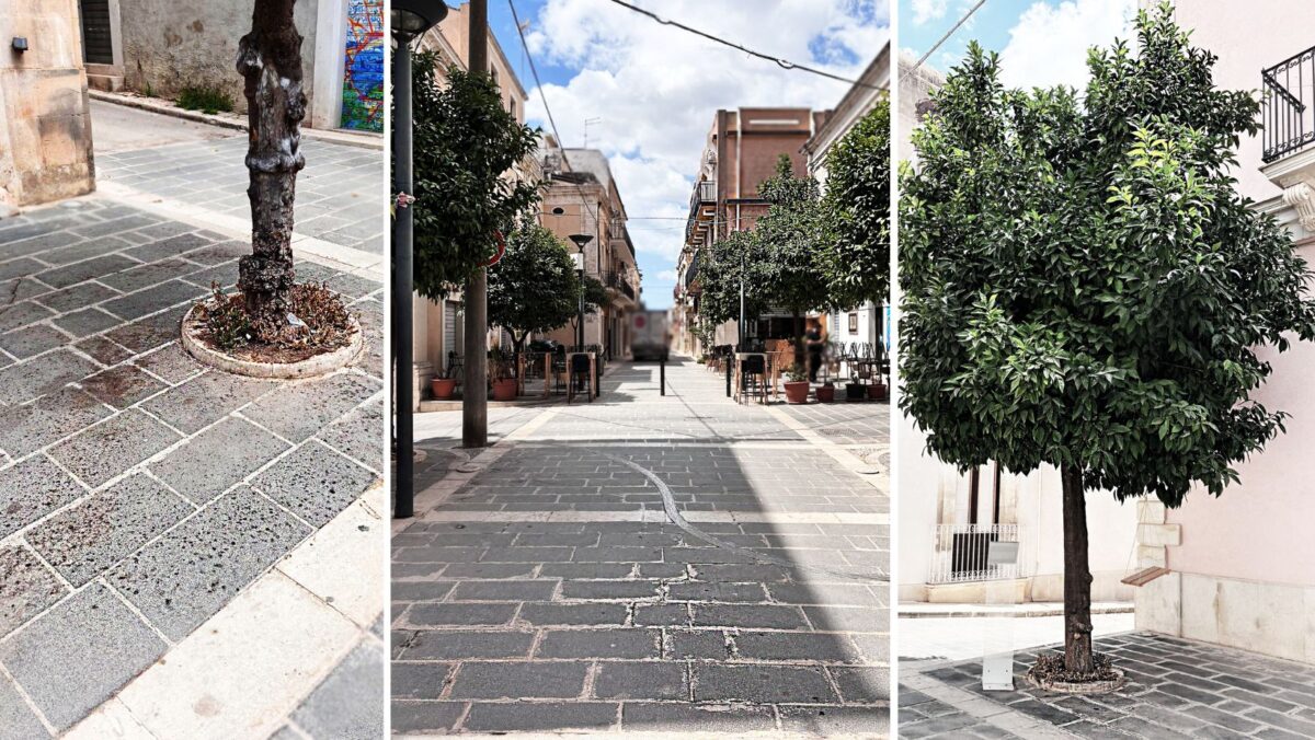 “Si dia decoro al Corso Savoia”, l’ appello dei commercianti del Centro Storico all’amministrazione “Si dia decoro al Corso Savoia”, l’ appello dei commercianti del Centro Storico all’amministrazione