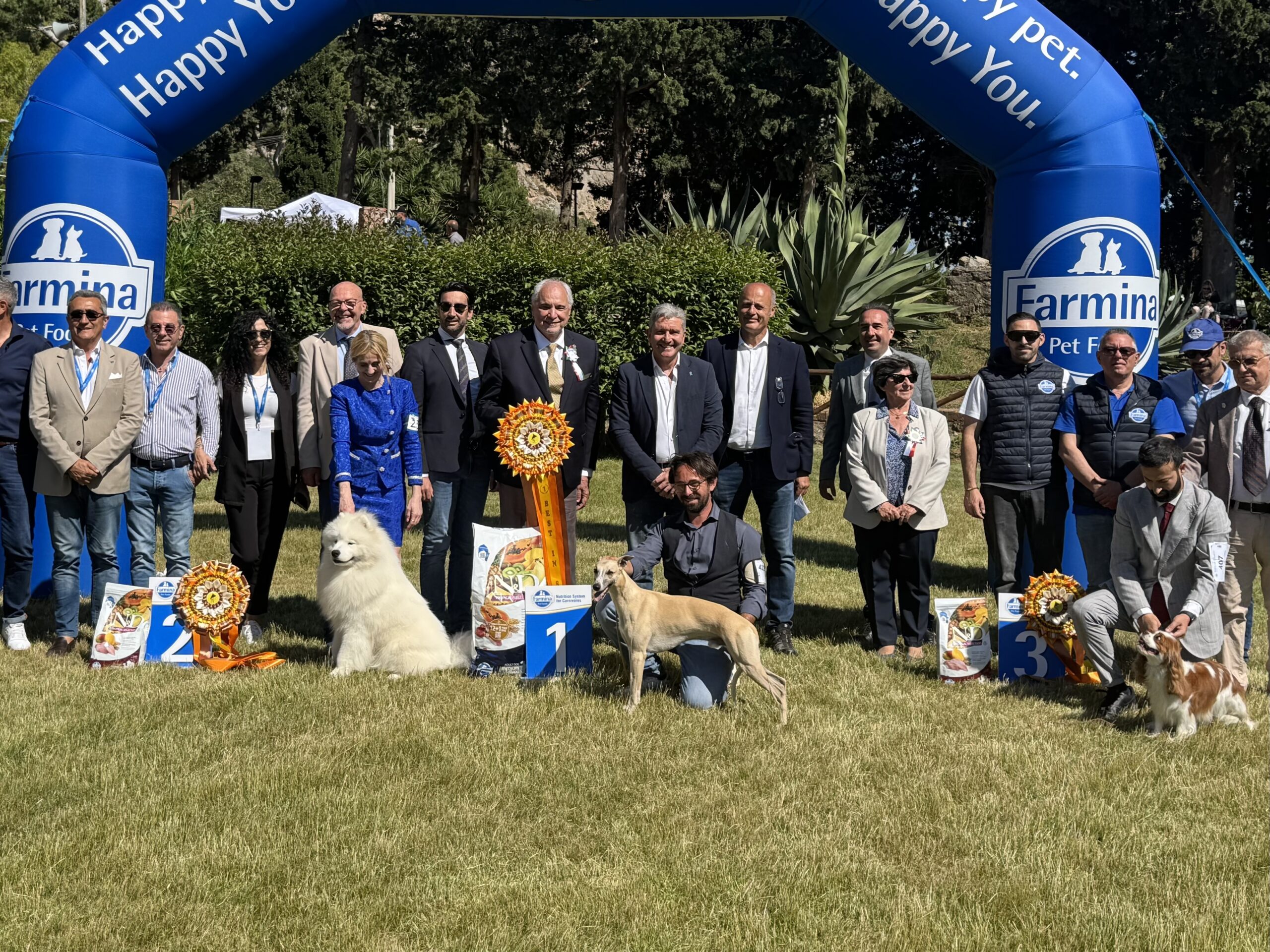 Il levriero “Jimi” trionfa alla kermesse cinofila “Sicilia Winner” di Palermo Il levriero “Jimi” trionfa alla kermesse cinofila “Sicilia Winner” di Palermo