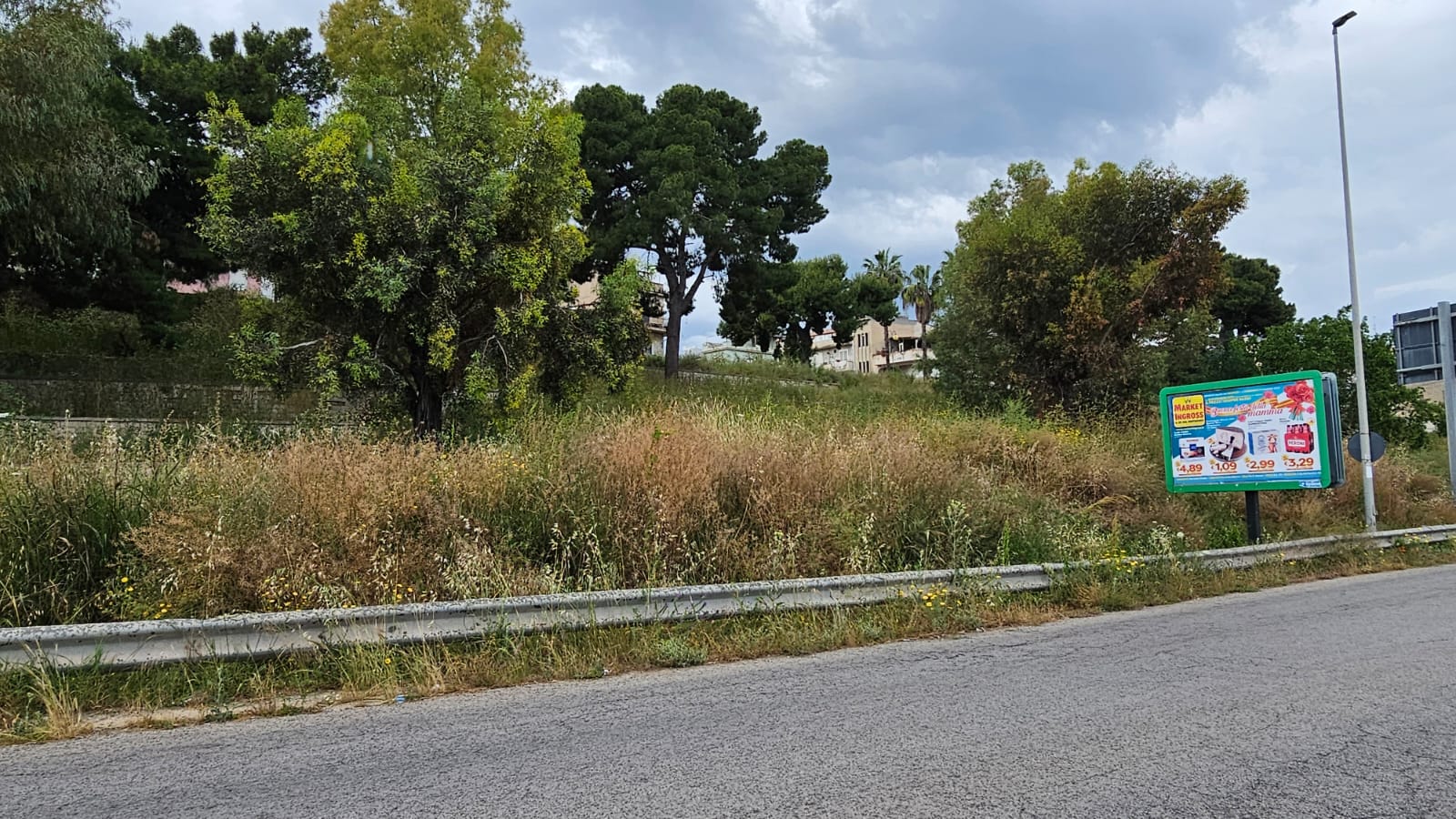 Zocco (Città Verde): “Il Comune chiede di ripulire le aree verdi private, ma dia l’esempio con quelle pubbliche” Zocco (Città Verde): “Il Comune chiede di ripulire le aree verdi private, ma dia l’esempio con quelle pubbliche”