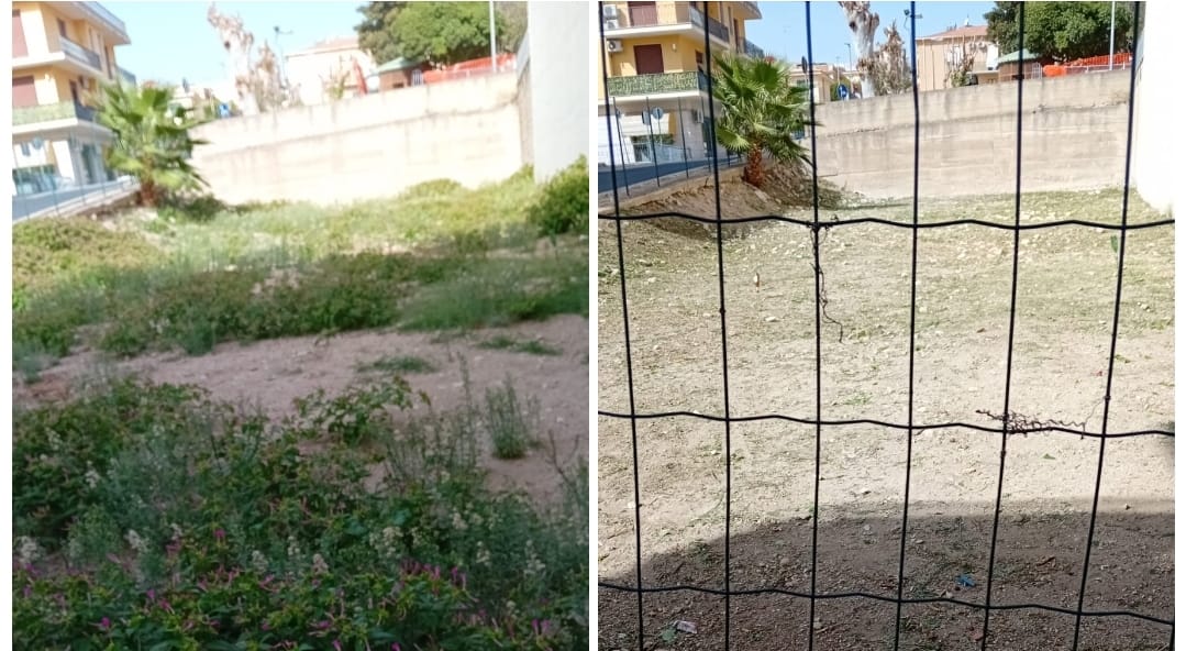 Entro maggio l’obbligo di pulizia per i terreni incolti in aree urbane, si rischia multa fino a 694 euro Entro maggio l’obbligo di pulizia per i terreni incolti in aree urbane, si rischia multa fino a 694 euro