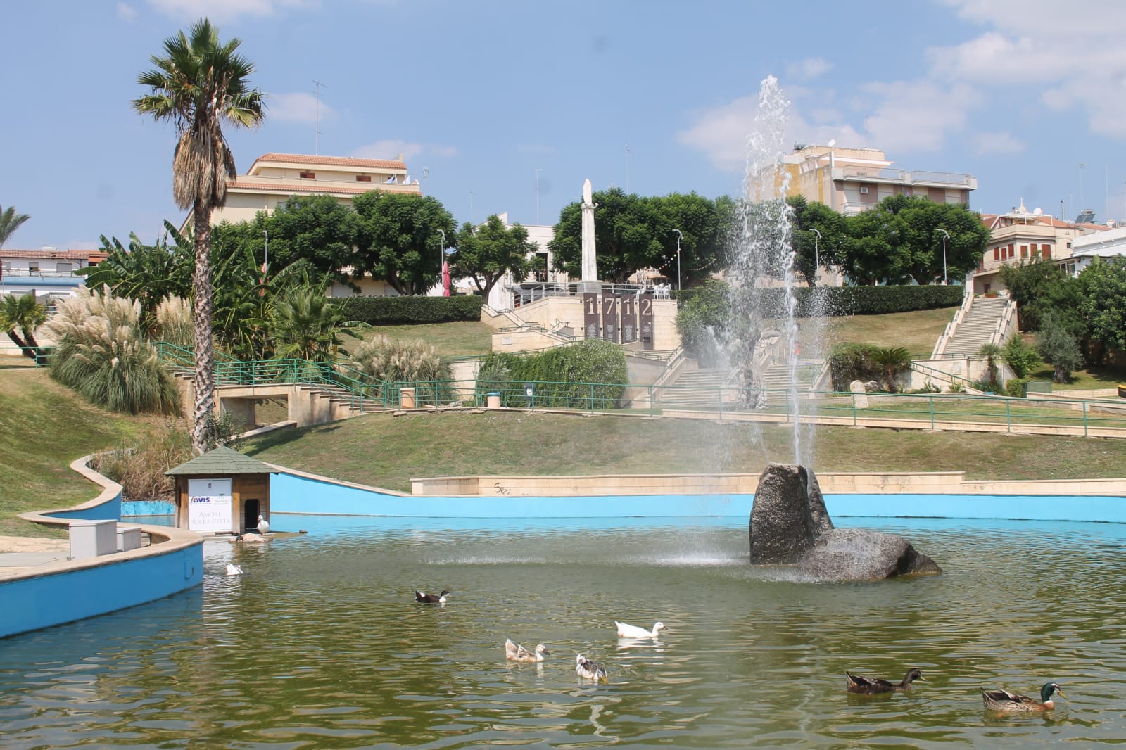 Un nuovo habitat per le anatre, il vice sindaco Floriddia: “Trasferite temporaneamente per permettere i lavori nella vasca” Un nuovo habitat per le anatre, il vice sindaco Floriddia: “Trasferite temporaneamente per permettere i lavori nella vasca”