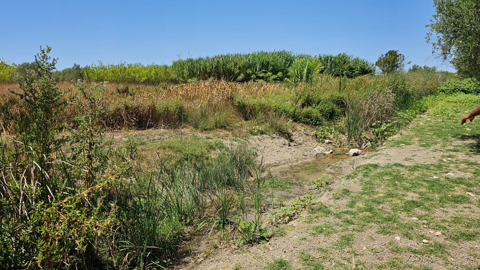 In contrada Casale pioggia di segnalazioni, condotta idrica di Pachino e Portopalo sempre più colabrodo In contrada Casale pioggia di segnalazioni, condotta idrica di Pachino e Portopalo sempre più colabrodo