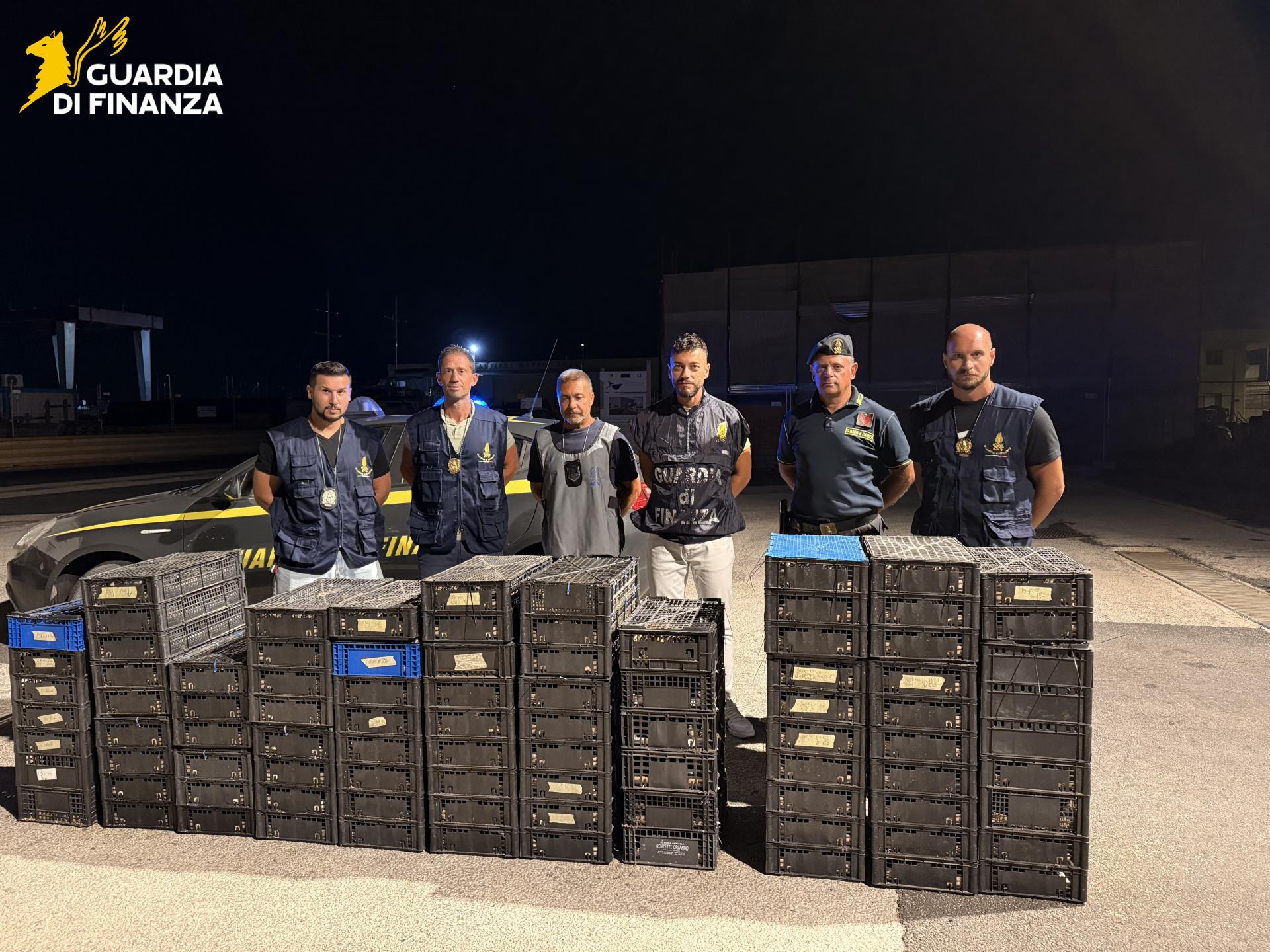 Pozzallo, maxi sequestro di 2.687 uccelli protetti: erano diretti al mercato nero maltese Pozzallo, maxi sequestro di 2.687 uccelli protetti: erano diretti al mercato nero maltese