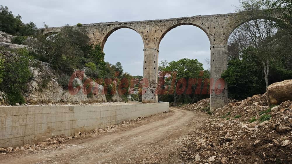 Eremo di Croce Santa, alberi secolari spiantati, l’amministrazione: “Non sappiamo dove siano”, l’opposizione: “Inaccettabile” Eremo di Croce Santa, alberi secolari spiantati, l’amministrazione: “Non sappiamo dove siano”, l’opposizione: “Inaccettabile”