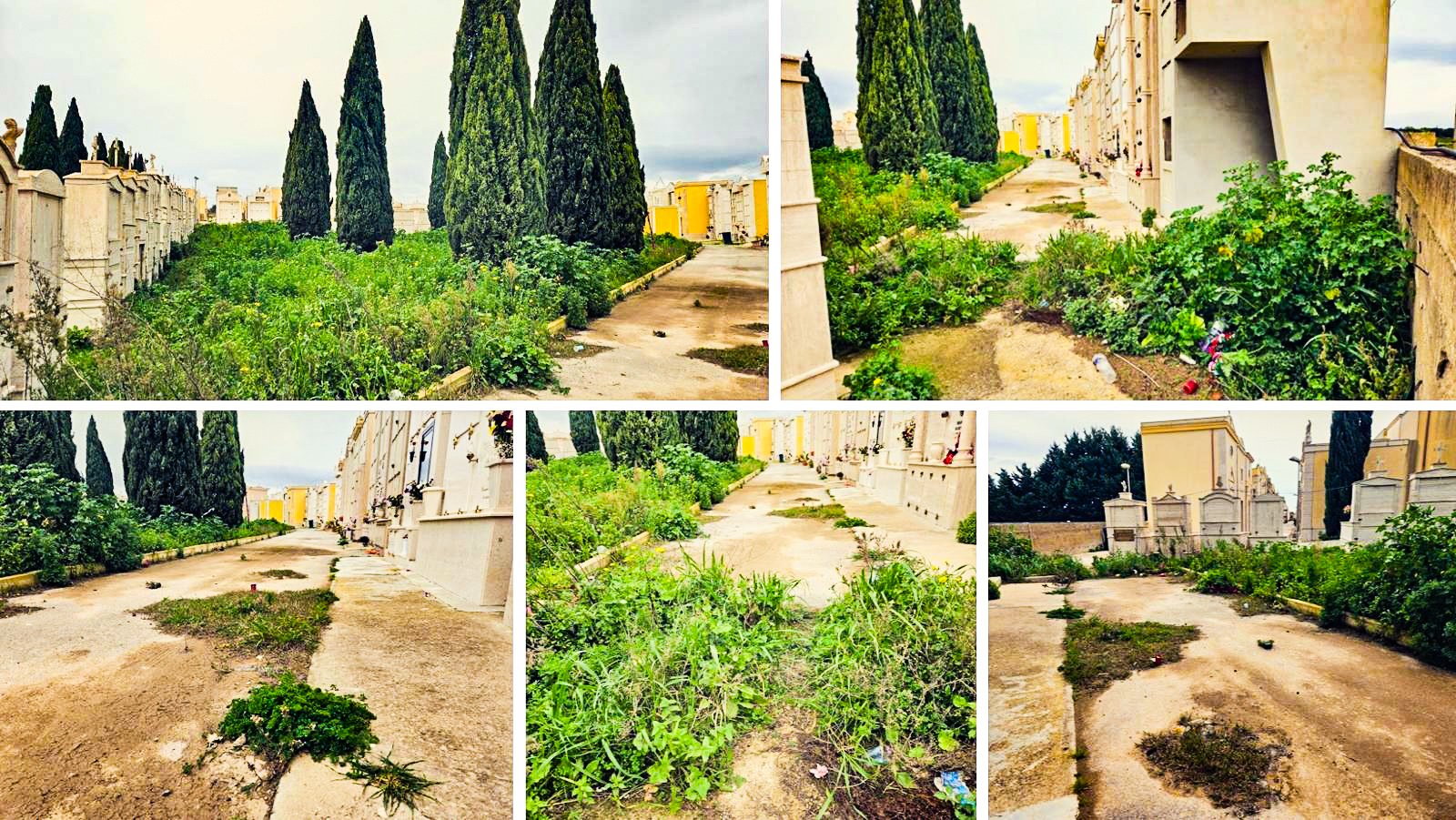 Cimitero di Rosolini, settore K abbandonato da anni, i cittadini chiedono un intervento Cimitero di Rosolini, settore K abbandonato da anni, i cittadini chiedono un intervento