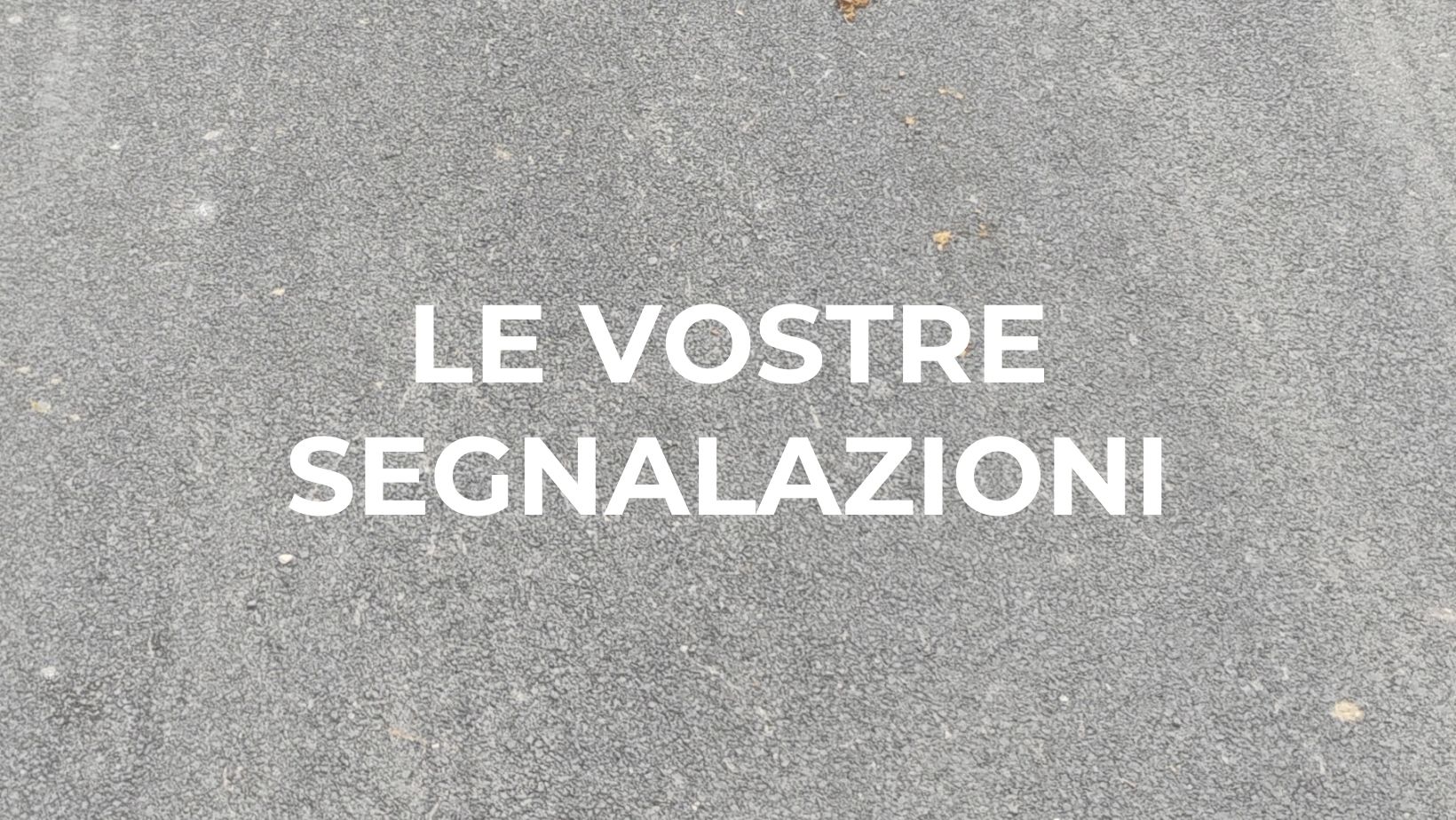 Cavalcata di San Giuseppe, la segnalazione: “Il letame lasciato dai cavalli lo puliamo noi cittadini”
