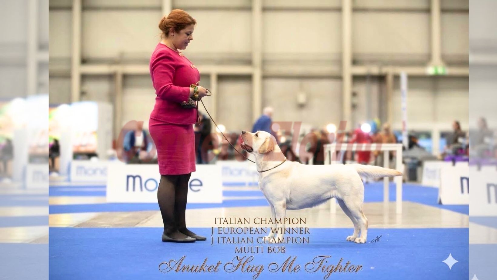 Anya conquista il titolo di Campione Italiano: l’orgoglio di Rosolini a quattro zampe