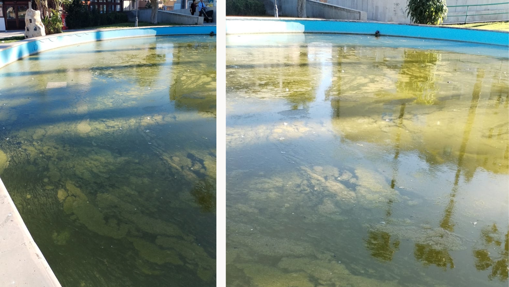 Vasca del Verde a Valle, nuova segnalazione di un cittadino: “C’è da vergognarsi”